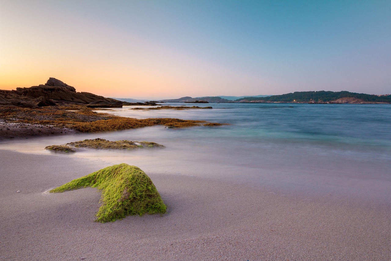 beach, galicia, ria, aldán, algae, rocks, sea, sunset, nature, sand, calm down, paradise, meditation, summer, ethereal, darling, costa, the water, stone, seafood, peaceful, blue hour, mussels, reflection, mindfulness, rías baixas